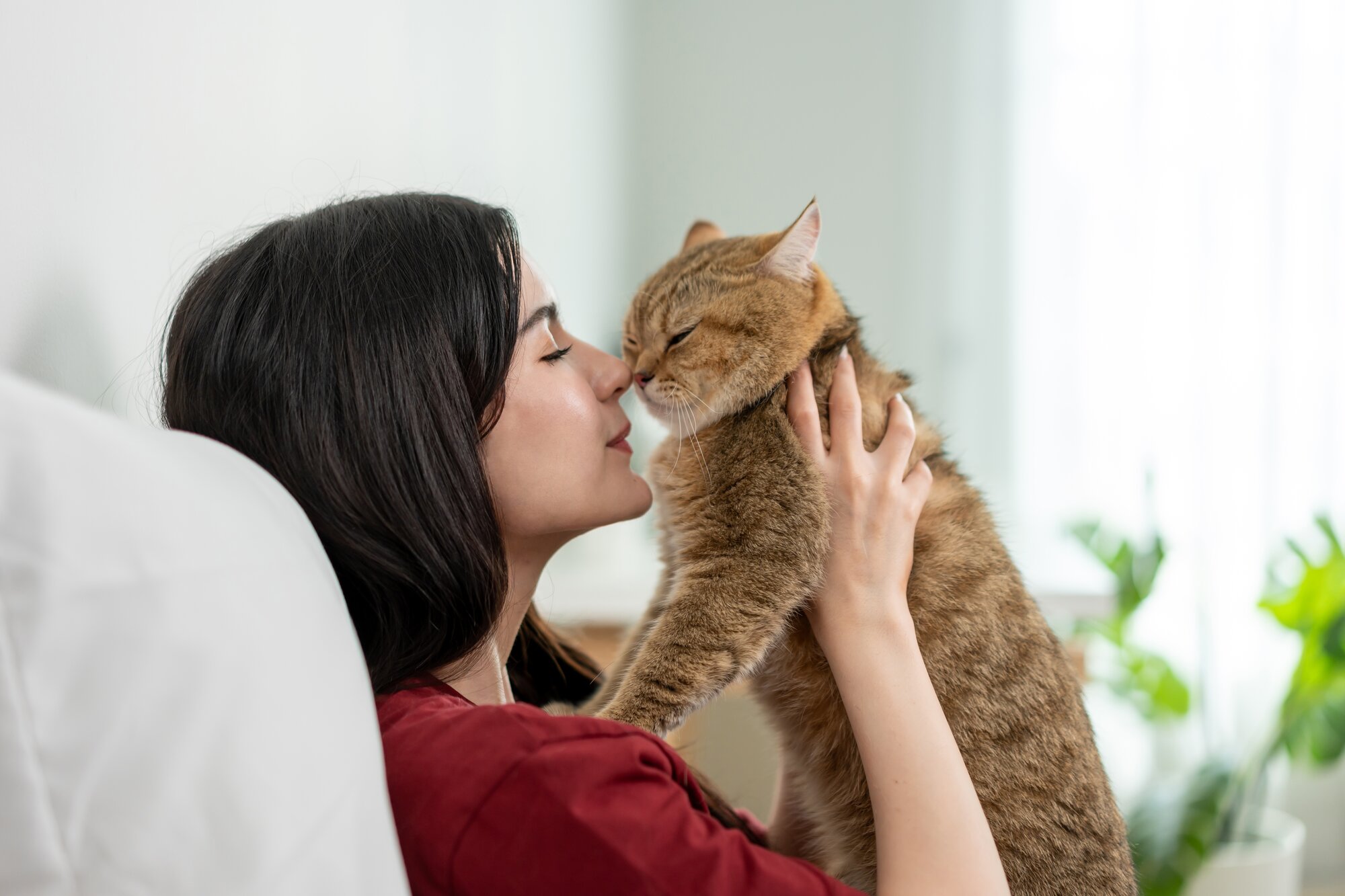Convierte tu departamento en el lugar ideal para tu gato