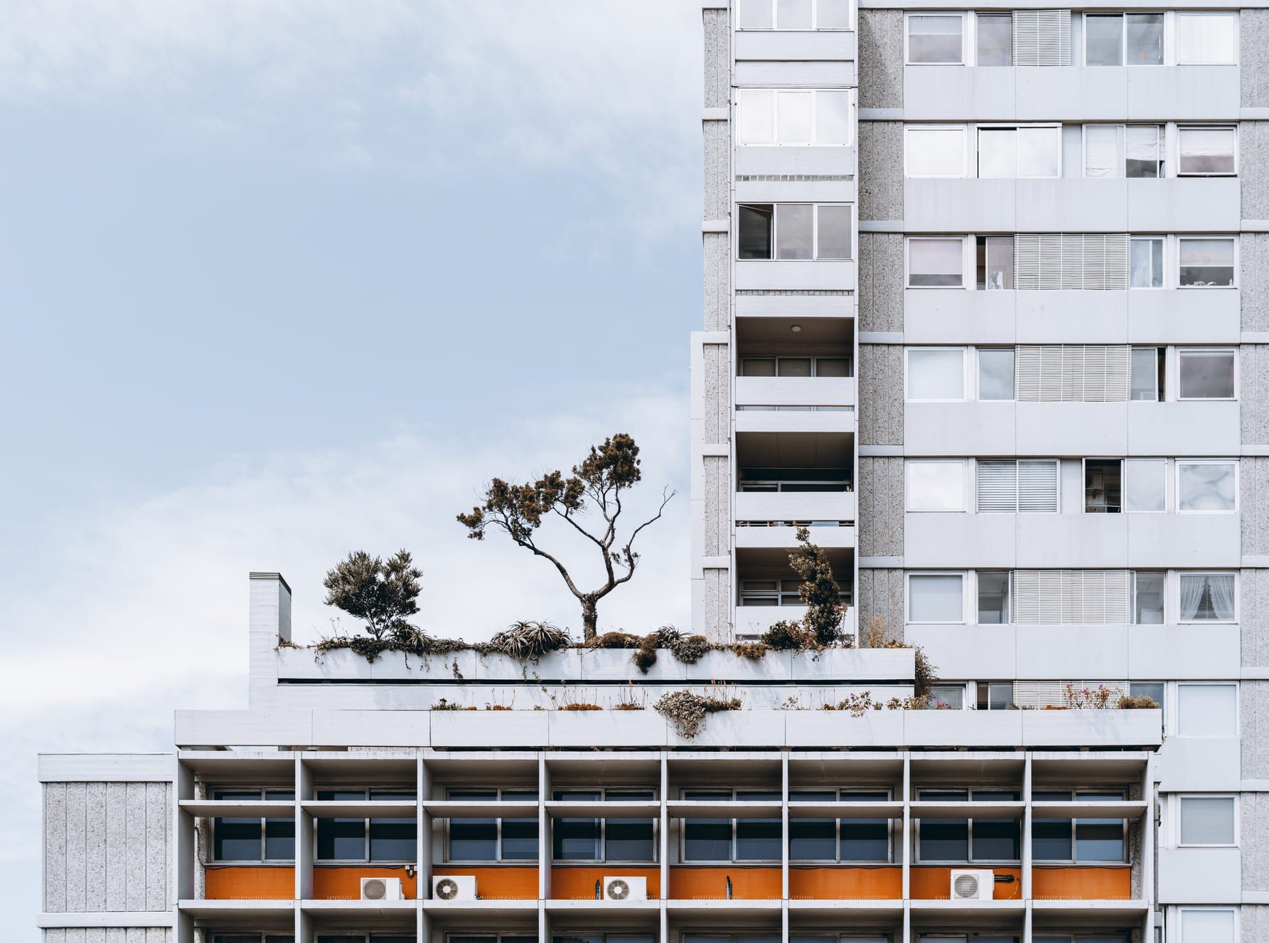 Departamentos en venta con Roof Garden