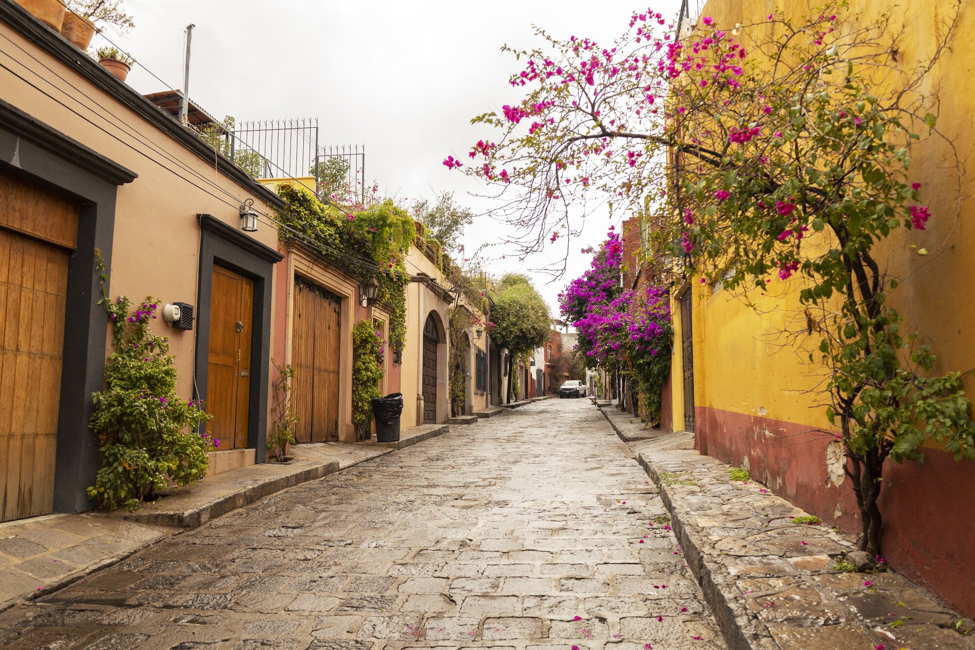 Qué hacer en Cuernavaca