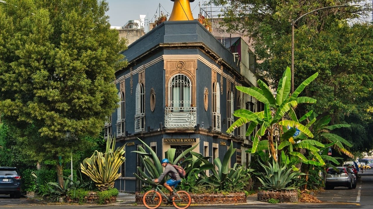 Qué hacer en la Condesa
