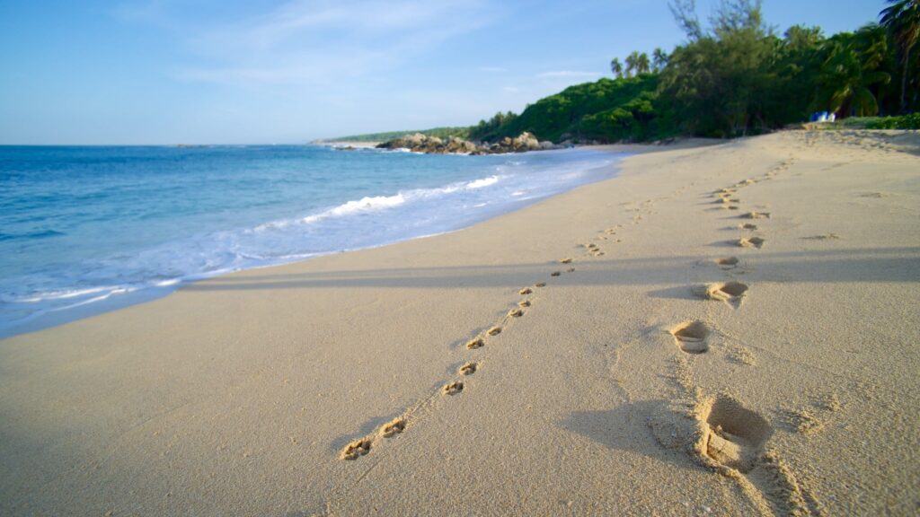Playas en Puerto Escondido
