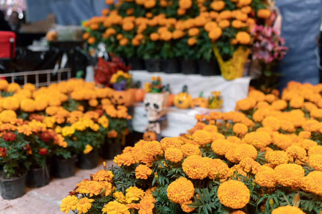 A mexican marigold flower stand in a street market stall flor de cempasúchil