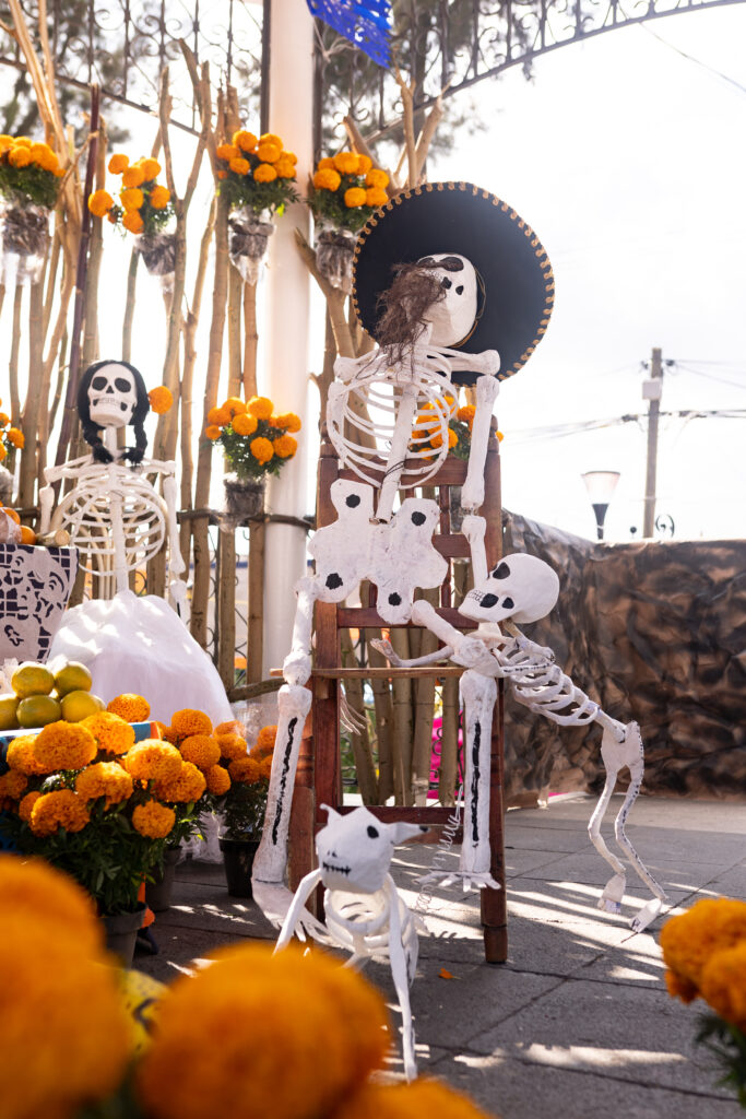 A skeleton day of the dead altar in Mexico flor de cempasúchil