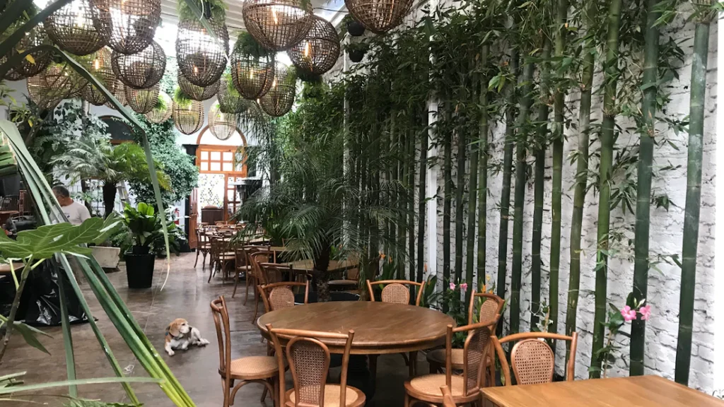 Los mejores restaurantes en la Roma