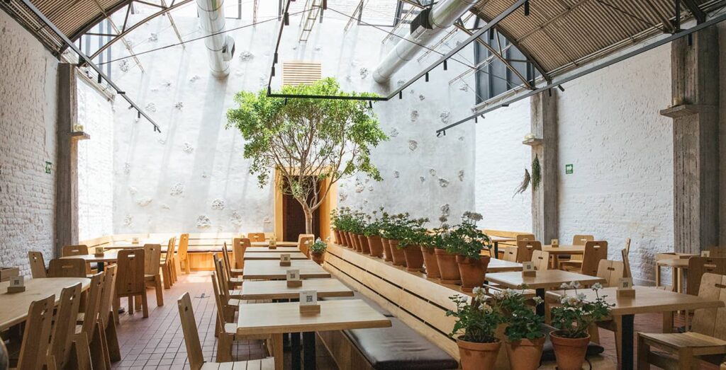 Los mejores restaurantes en la Roma